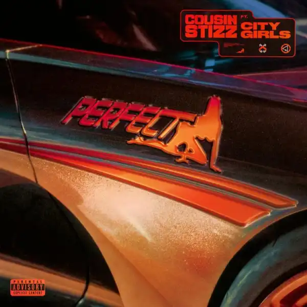 Cousin Stizz - Perfect (Ft. City Girls)